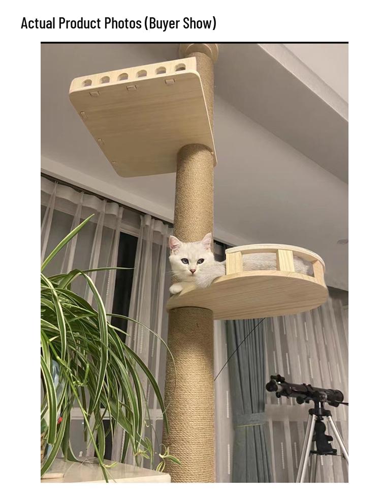 Solid Wood Cat Tree Condo: Space-Saving Capsule Villa for Large Cats with Toys