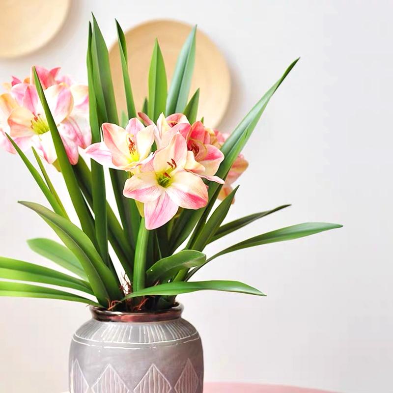 1 buc. Plante Verzi Simulare Decor Acasă Floare Artificială DIY Frunză Clivia Decorațiune Centru Comercial Plastic Cauciuc Moale