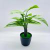 Leaf Taro Simulation Monstera Deliciosa  Artificial Plant Bonsai Decor Indoor
