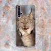 Cute Canada Lynx Silicone Cover For Honor 20 20S 20E 8 8A Prime 8X MAX 8C 8S 7A 7C 7S Pro Phone Case