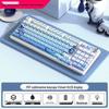 98-Tasten Kabellose Bluetooth Tri-Mode Mechanische Tastatur mit Blauen, Schwarzen, Braunen, Roten Schaltern - RGB für Gaming, Büro, Esports, Mädchen.