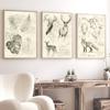 Vintage Fox Butterfly Deer Insect Note Retro Poster Mushrooms Canvas Painting Wall Art Print Wall Pictures for Living Room Decor