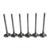 Jihang Dongfeng EQ2102/EQ1118GA Intake & Exhaust Valve Set