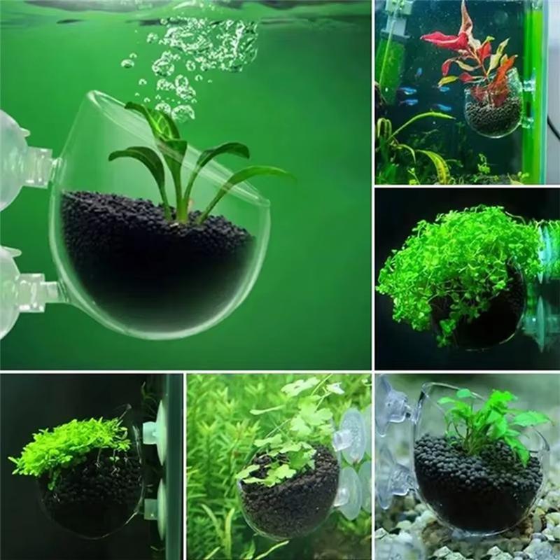 2025 Trend 16PCS Aquatic Plant Cups Kit For Aquaponic Cultivation Aquarium Decoration 3 Shapes