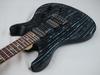 Paul Reed Smith(PRS) SE Swamp Ash CE 24 LTD 3S Sandblasted (Blue)