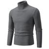 Herren Pullover Herbst/Winter 2024 Hoher Kragen Unifarben Lässig Gestrickt