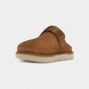 UGG Goldenstar Clog Chestnut (Women's)