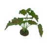 Plastic Aquarium Water Plants Small Lifelike Fake Green Water Grass with Sturdy Stems Decorative Artificial Underwater Plants