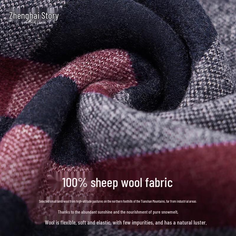 Shanghai Story Men's 100% Wool Plaid Scarf