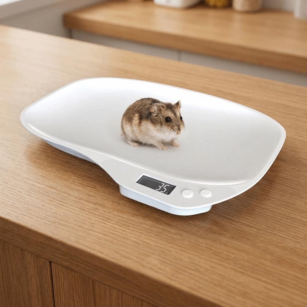 High Precision Newborn Pet Scale Auto Shut Off Small Animal Scale Pet Weighing