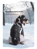 Reflective Four-Legged Cotton Dog Coat for Cold Weather