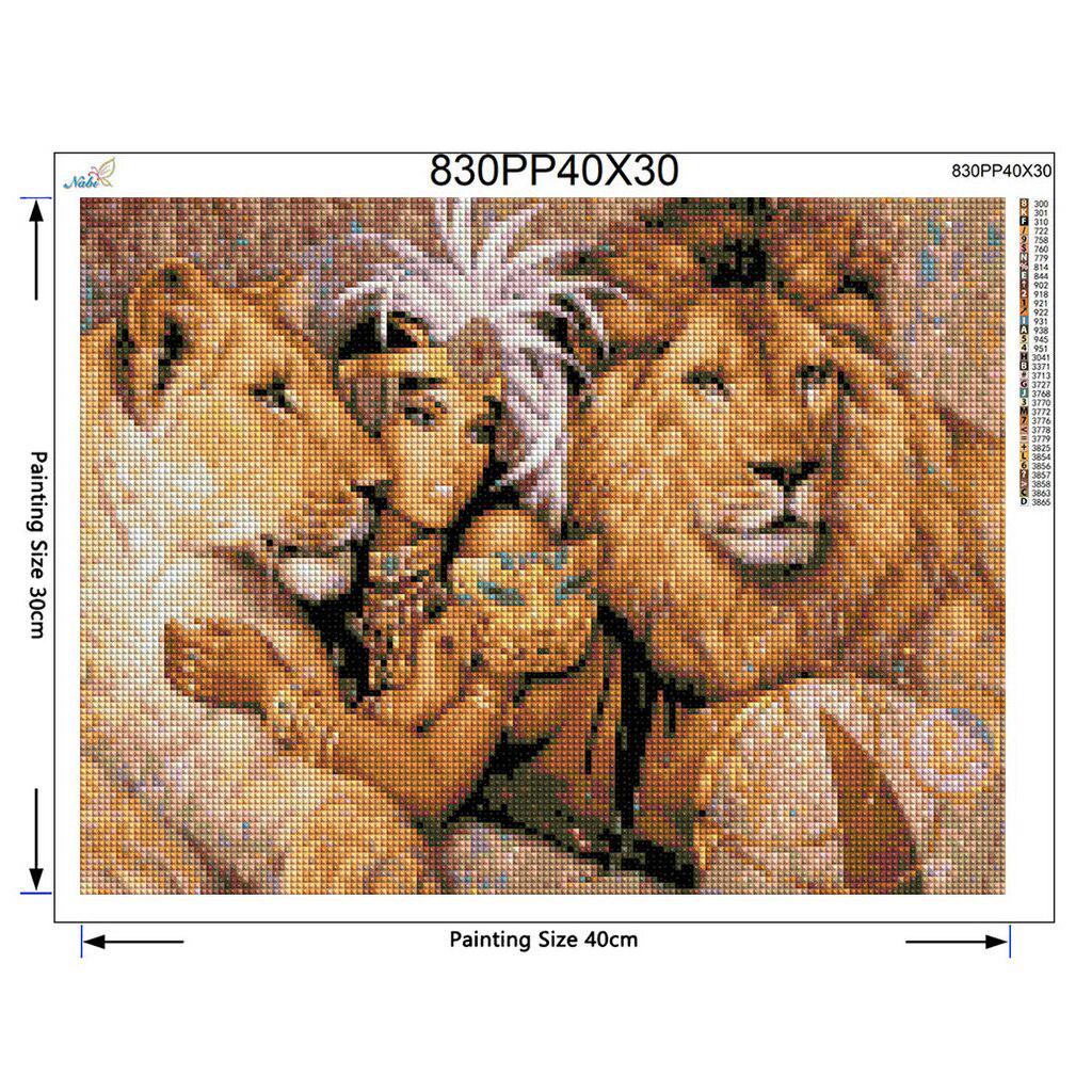 Diy Diamond Painting Diamond Embroidery 5D Square Full Diamond Home Decoration Europe