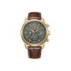 CITIZEN Ecology Drive Collection Light Powered Quartz Movement Cow Leather Strap Watch Unisex AT8263-10H