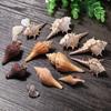 1 Box Natural Shell Conch Starfish Landscape Snail Fish Tank Landscaping Decoration Home Decoration