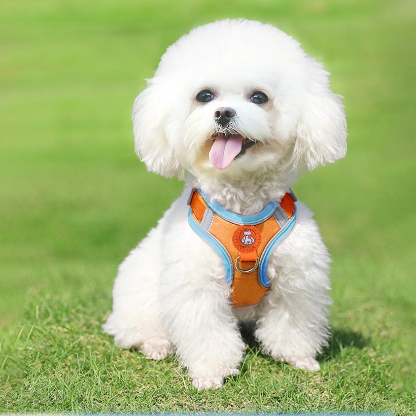 Reflective Dog Harness Leash Set Nylon Adjustable Pet Harness Outdoor Walking Breathable Pet Chest Vest Leash Dog Accessories