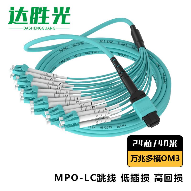 

Dasheng Light MPO-LC 24-Core OM3 Multimode Fiber Optic Patch Cable