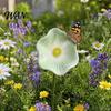 Insect Watering Station Handmade Ceramic Pollinator Station, Colorful Flower Bee Water Feeder & Butterfly Bird Bed Post Decoration Bath, Small Outdoor