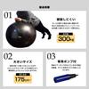 ALINCO Exercise Ball 75cm WBN075