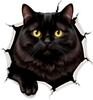 QT2170#15cm Black Cat with Yellow Eyes Emerging Through Ragged Hole Car Sticker for Laptop, Truck, Phone, Motorcycle, Window