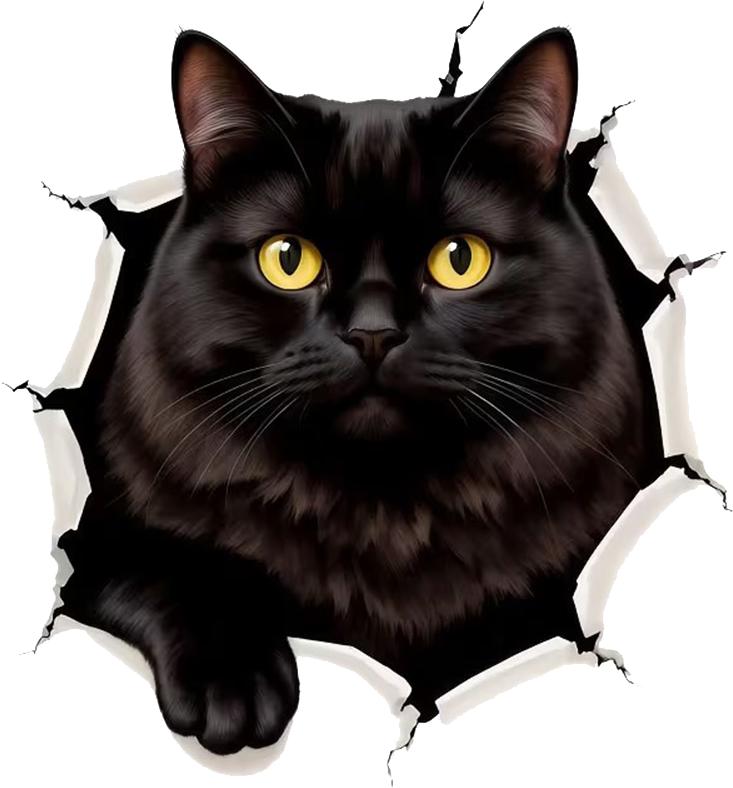 QT2170#15cm Black Cat with Yellow Eyes Emerging Through Ragged Hole Car Sticker for Laptop, Truck, Phone, Motorcycle, Window