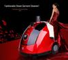 Ci Lu Garment Steamer: Temperature-Controlled Electric Iron for Home and Commercial Use