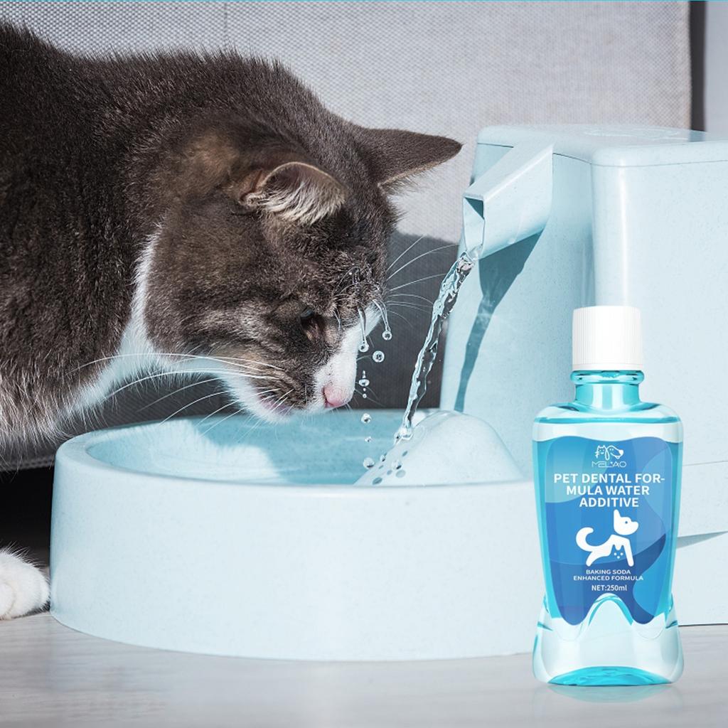 Premium Köpek Diş Bakımı ve Köpek Nefes Tazeleyici - Fırçasız Diş Tartarı ve Plak Giderici Köpek Dişleri İçin 250ml