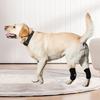 Dog Hock Support Canine Rear Injury Recovery Fixed Leg Support Brace Pain Relief Dog Knee Pads Knee Brace Joint Wrap Support Pet Recover