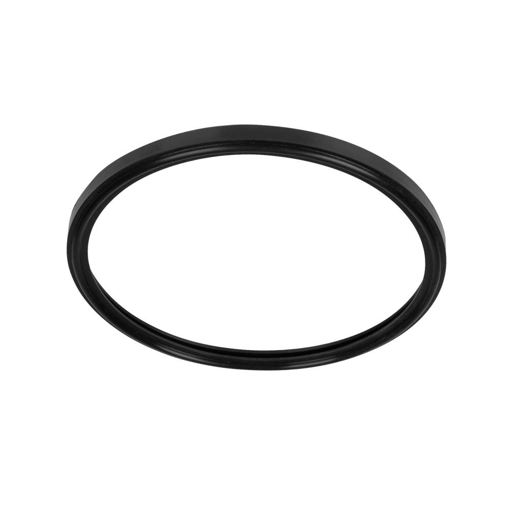 SPX0540Z2 Underwater Pool Light Seal Gasket