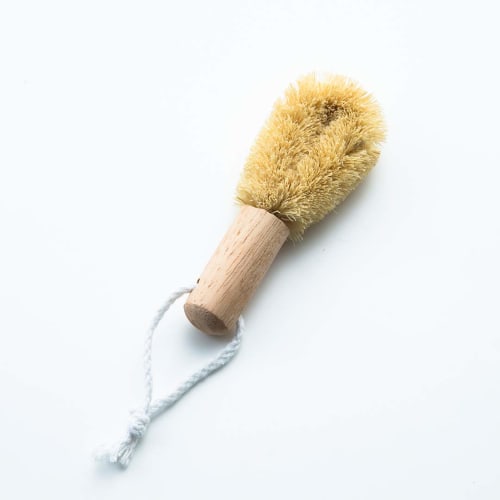 Regular Steel Shark Grater for Wasabi, Ginger, and Garlic [2018 Good Design Award Winner, 2020 Omotenashi Selection Gold Award Winner]