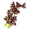 Artificial Cymbidium Hookerianum 10 Heads Simulated Vanda Cymbidium Tropical Phalaenopsis Tiger Orchid Plant