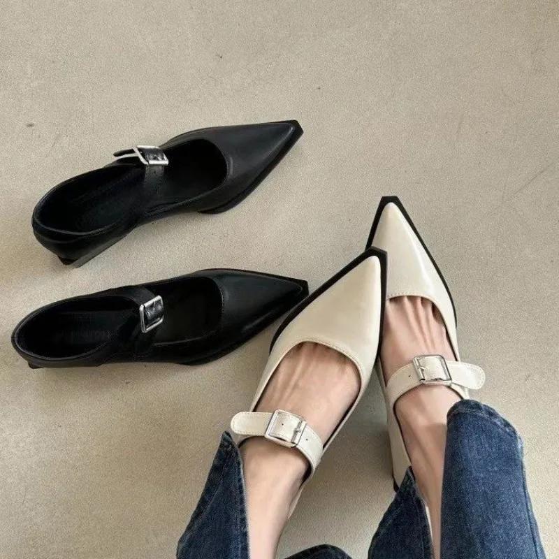 Fashion Coarse Heeled Women's Shoes, Retro French Buckle, Mary Jane Women's Shoes, Pointed Toe, Low Heel, Shallow Mouth Single Shoe