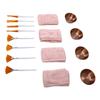 16pcs Esthetician Supplies for Facials Set Small Bowl Fan Flat Brush Hair Band Women Facial Mixing Kit Rosy Gold
