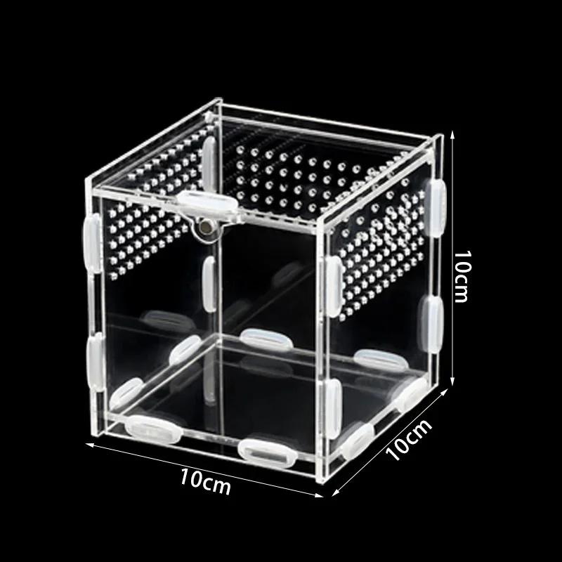 Acrylic Transparent Terrarium Enclosure Assembly Kit For Insects Reptiles Pets Home Display For Hobbyists Kids Birthday Gift