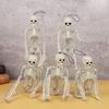 40cm Halloween Skull Skeleton,posable Skeleton,human Shape Bones,halloween Party Home Decorations,haunted House Horror Props