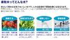 One Water ECO Water Purifier Water Activator Faucet Direct Connection Type [Grain Water]