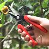 Stainless Steel Pruning Shears - Sharp Garden Scissors for Flower, Plant & Bonsai Trimming, Red Non-Slip Handle Gardening Tool