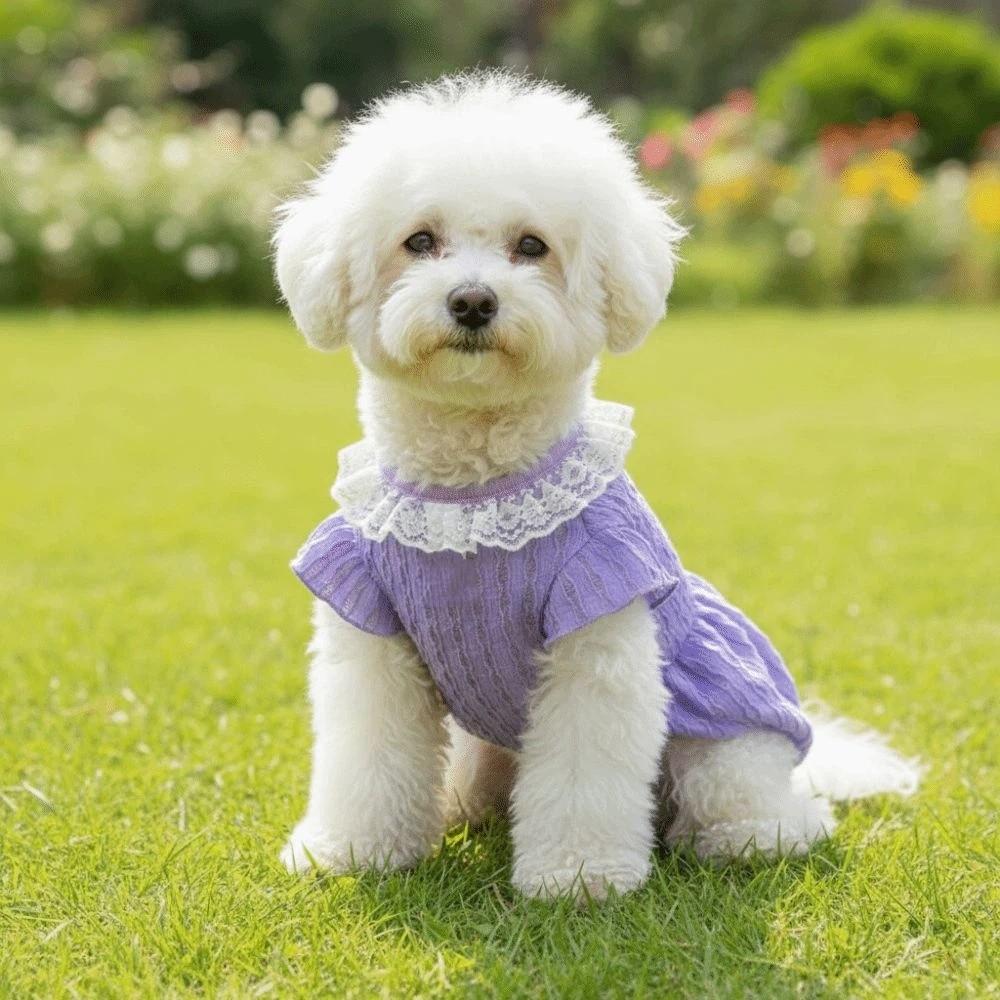 Comfortable Puppy Princess Dress Thin Breathable Pet Puff Skirt Fashion Pet Clothing  Daily Wear