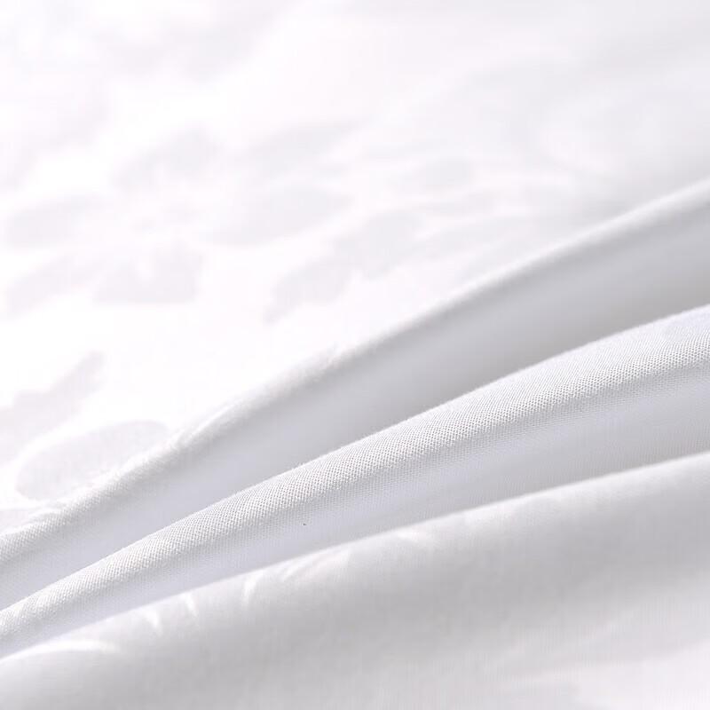 Fuanna Antibacterial All-Season Quilt