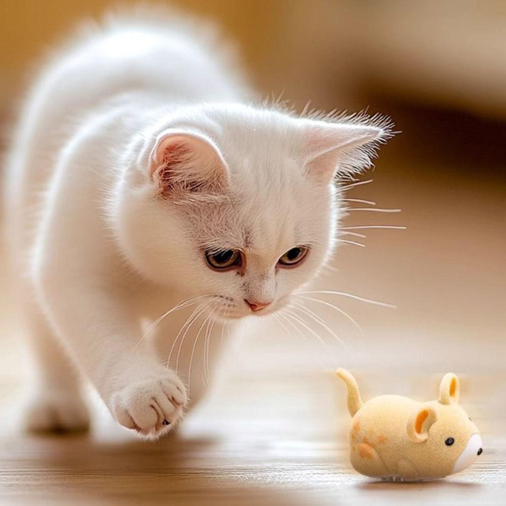Wear-resistant Electric Hamster Toy Cute Simulation Hamster Cat Teasing Toys  Interactive