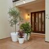 Donic Purea High White Garden Set 2 Pcs