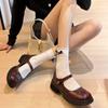 Fashion Spring 2025 Women's Mid Heels Shoes Mary Jane New Style Concise Comfortable Soft Shoes Trend Versatile Women Shoes