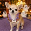 Clothing Halloween Pet Costume for Cats Small Dogs, Handmade Crochet Witch Hat Bib Puppy Party Accessories Collar, Adjustable Holiday Dog Cat