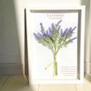 Handmade, Japanese-made Wall-hanging Botanical Frame Featuring Lavender. A Perfect Interior Decoration for Living Rooms, Entryways, or As a Gift. Incl