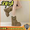 Retro Versatile Sleeve Thick Heel Thick Sole Women's Boots Autumn and Winter Europe and the United States Neutral Simple Fashion Boots Tide