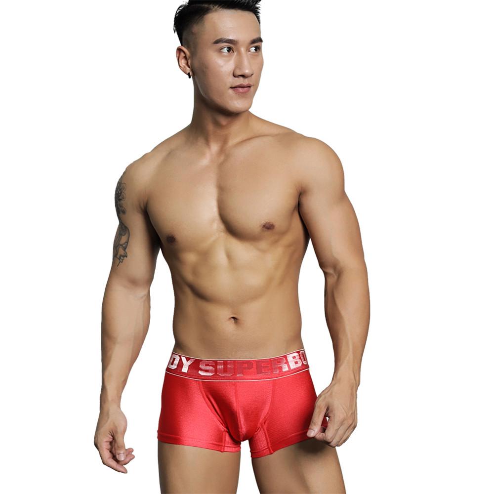 5 Color Men Boxers Ice silk Underwear Shorts