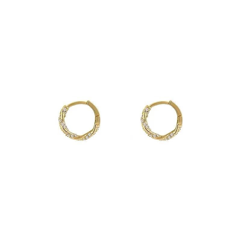 New Style, Niche and Unique Earrings. Women's High-end Earrings with Elegant Loops and Simple Rings.