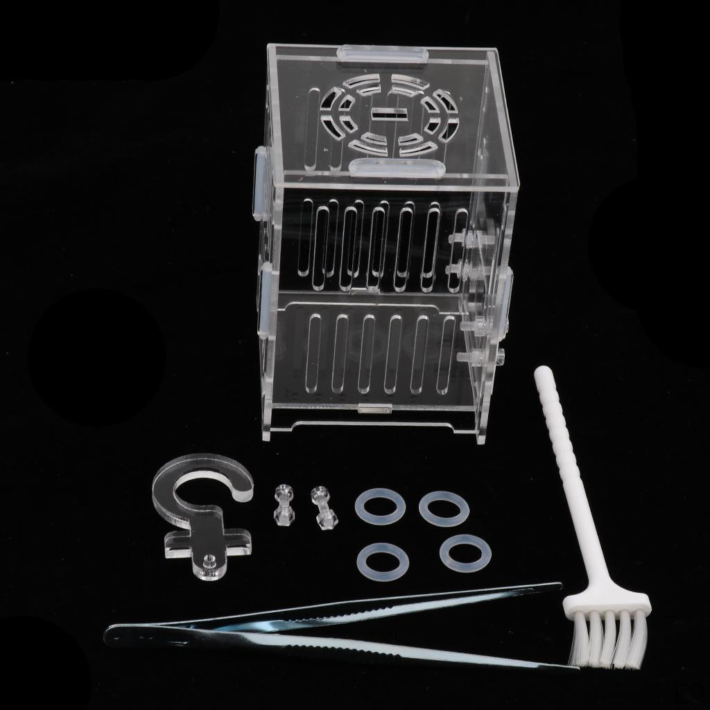 Spider Insect Cricket Tank Vivarium Cage Box Clear Acrylic Terrarium