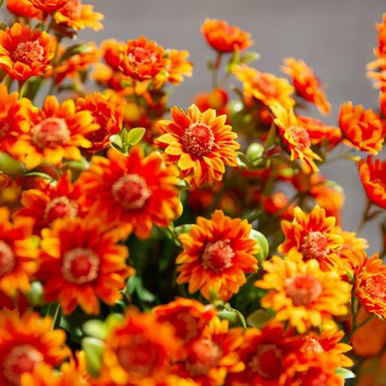 Faux Chrysanthemum Bundle UV Resistant Autumn Artificial Flowers Outdoor Realistic Faux Plants for Patio Porch Window Box Indoor Vase Decor