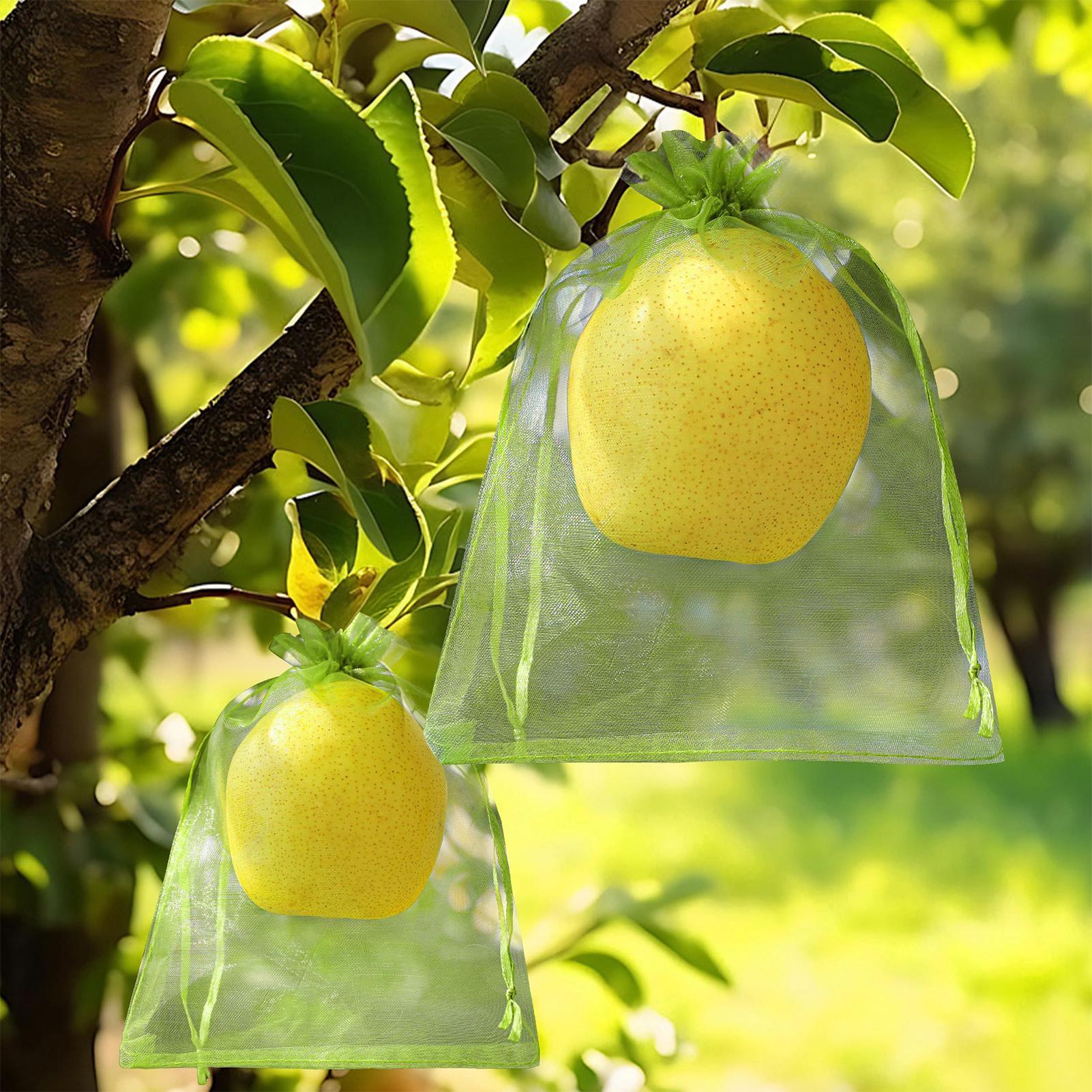 

Fruit Cover Bags For Tree Reusable Protector With Drawstring 6x8 Inch Grape Protection Bag For Blueberry Veggies Berry CN