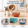 Anti-Spill Cat Food Bowl Stainless Steel Pet Dish Creative Pet Feeder  For Kittens